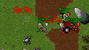 Wizman on screen