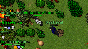 Darkjeal on screen