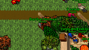 Barbachichas on screen