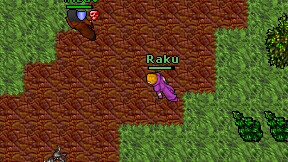 Raku on screen