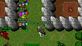 Desert Elect on screen