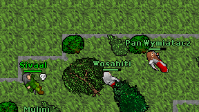 Wosahiti on screen