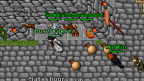 Buszi Kokser on screen