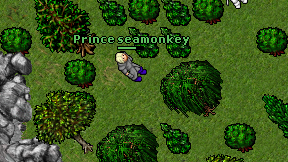 Prince seamonkey on screen