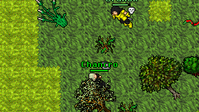 Chancro on screen