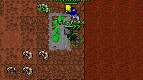 Shyftex on screen