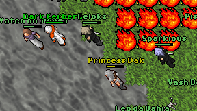 Princess Dak on screen