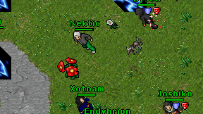 Nektic on screen