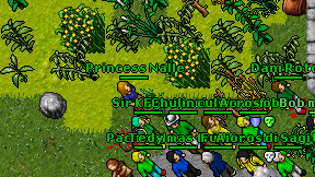 Princess Nalle on screen