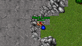 Mint Lann on screen