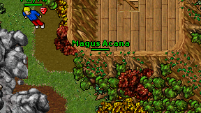 Magus Acana on screen