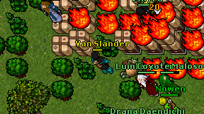 Van Slander on screen