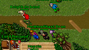 Lizard xer on screen