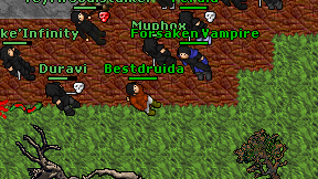 Bestdruida on screen
