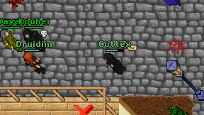 Cottex on screen
