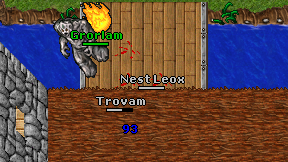 Nest Leox on screen