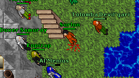 Surlon on screen
