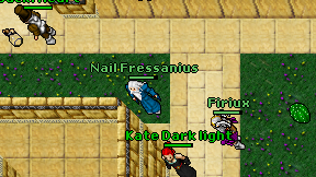 Nail Fressanius on screen