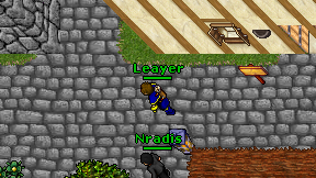 Leayer on screen