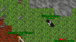 Elite Doido on screen