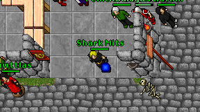 Shark Mits on screen