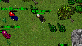 Jojo candy on screen