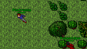 Piotrunio on screen