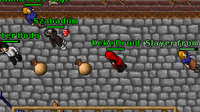 Keke Druid on screen