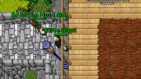 Elite Hawi on screen