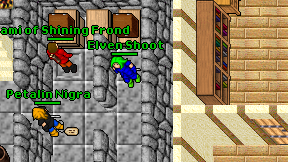 Elven Shoot on screen