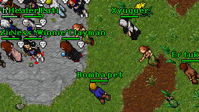 Bomba pet on screen