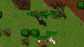 Ferok Shameter on screen