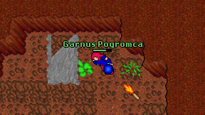 Garnus Pogromca on screen