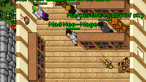 Mad Neo-Mage on screen