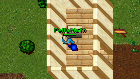 Felia Math on screen
