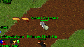 Nobus Zajebus on screen