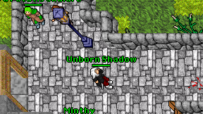 Unborn Shadow on screen