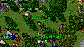 Zalamiry Bedaria on screen