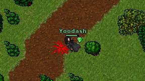 Yoodash on screen