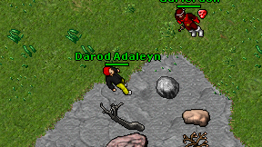 Darod Adaleyn on screen