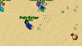 Poly Ester on screen