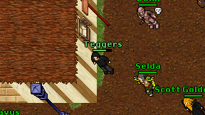 Teggers on screen
