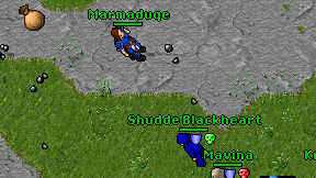 Marmaduqe on screen