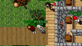 Kokodo on screen