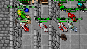 Pelmado on screen