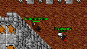 Knight Eden on screen