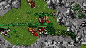 Dacaqui on screen