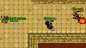 Eduxa on screen