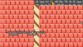 Xdann Warrior on screen