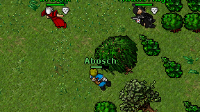 Abosch on screen